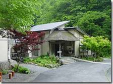 aonionsen.jpg