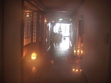 aonionsen.jpg